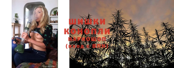 сатива Нефтегорск