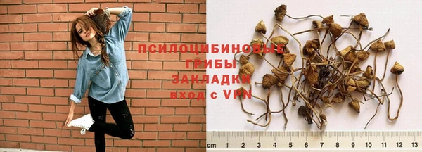 кокс Нея